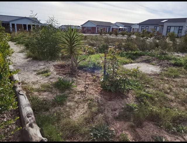 LAND FOR SALE IN ALBERTINIA